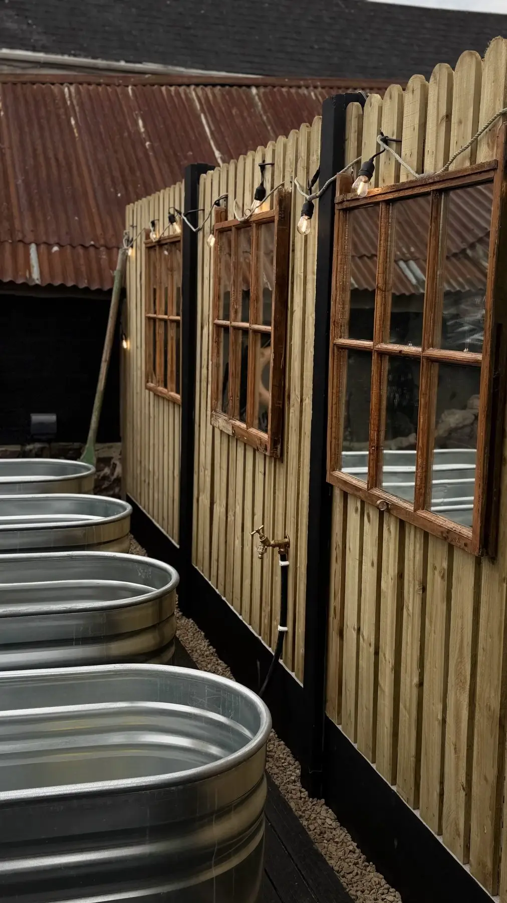 A row of galvanised cold-plunge ice baths under festoon lights